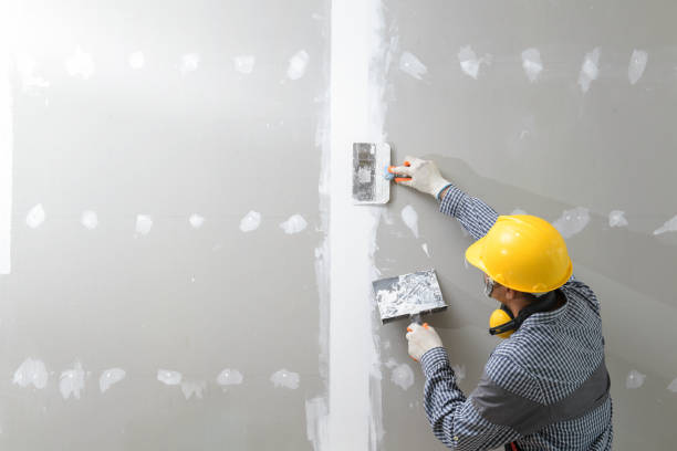Trusted Bonneau Beach, SC Mold Removal Experts