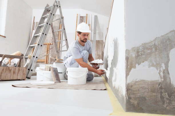Best Mold Documentation for Insurance Claims  in Bonneau Beach, SC