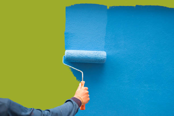 Best Water Damage & Mold Remediation  in Bonneau Beach, SC
