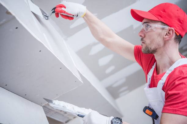 Best Mold Prevention Services  in Bonneau Beach, SC